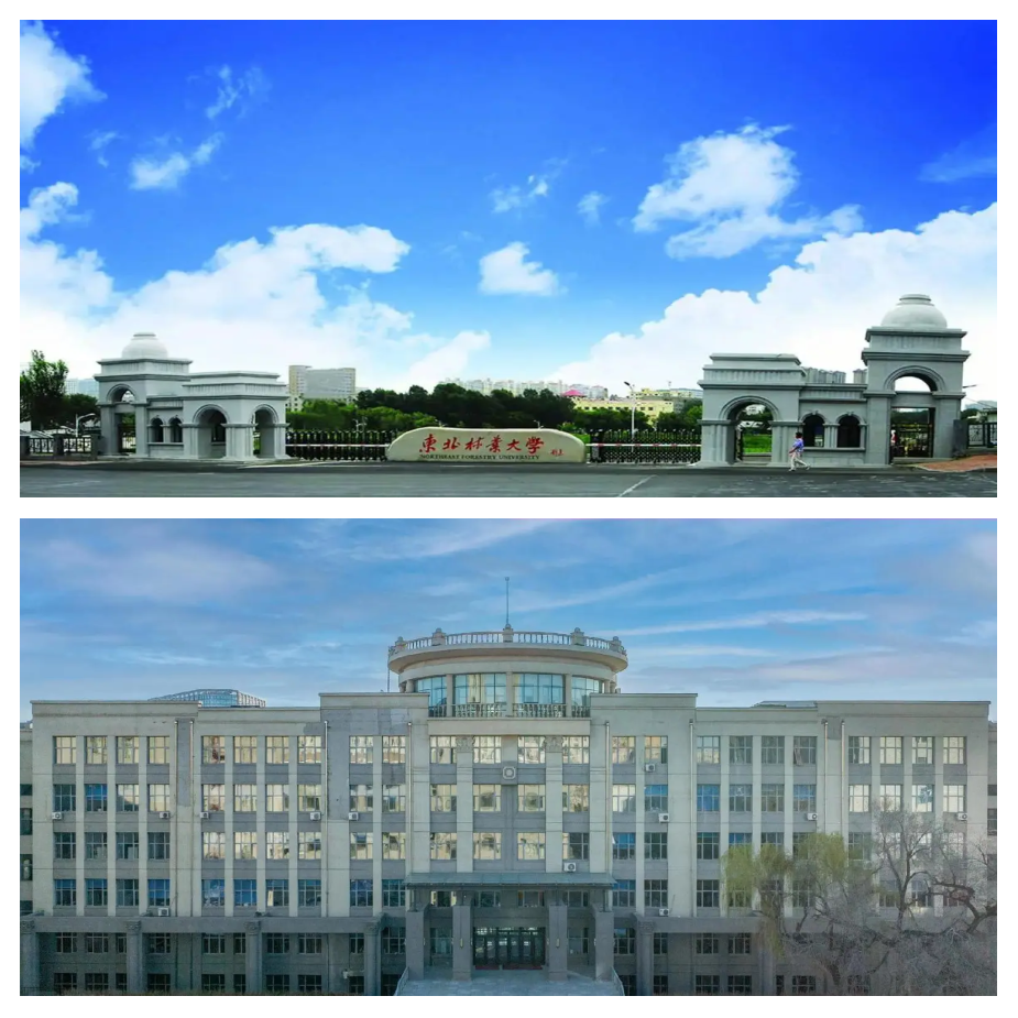 东北林业大学研究生院