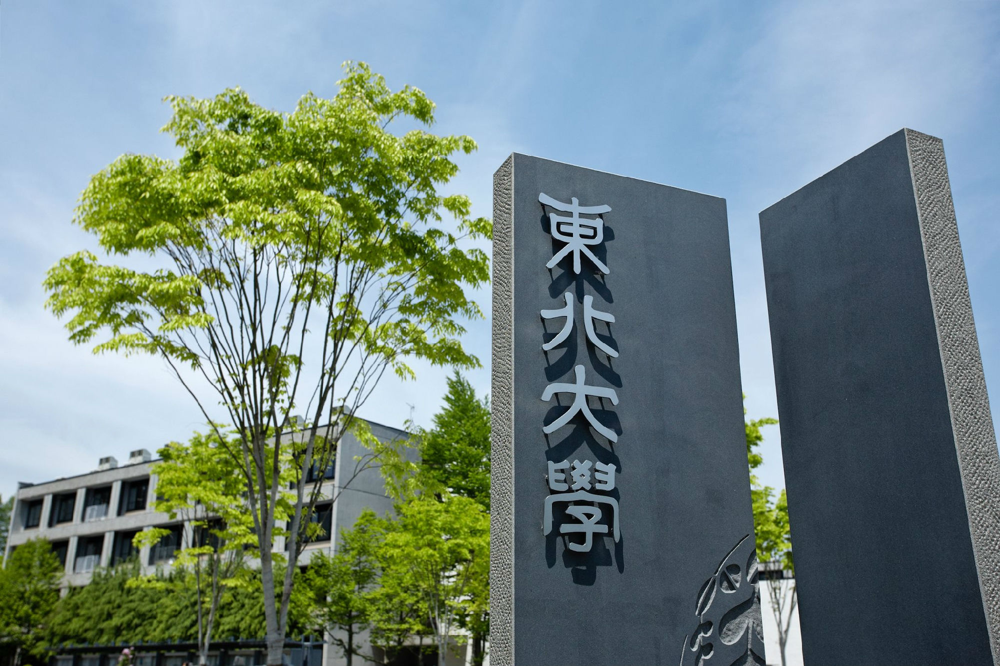 东北大学理学院