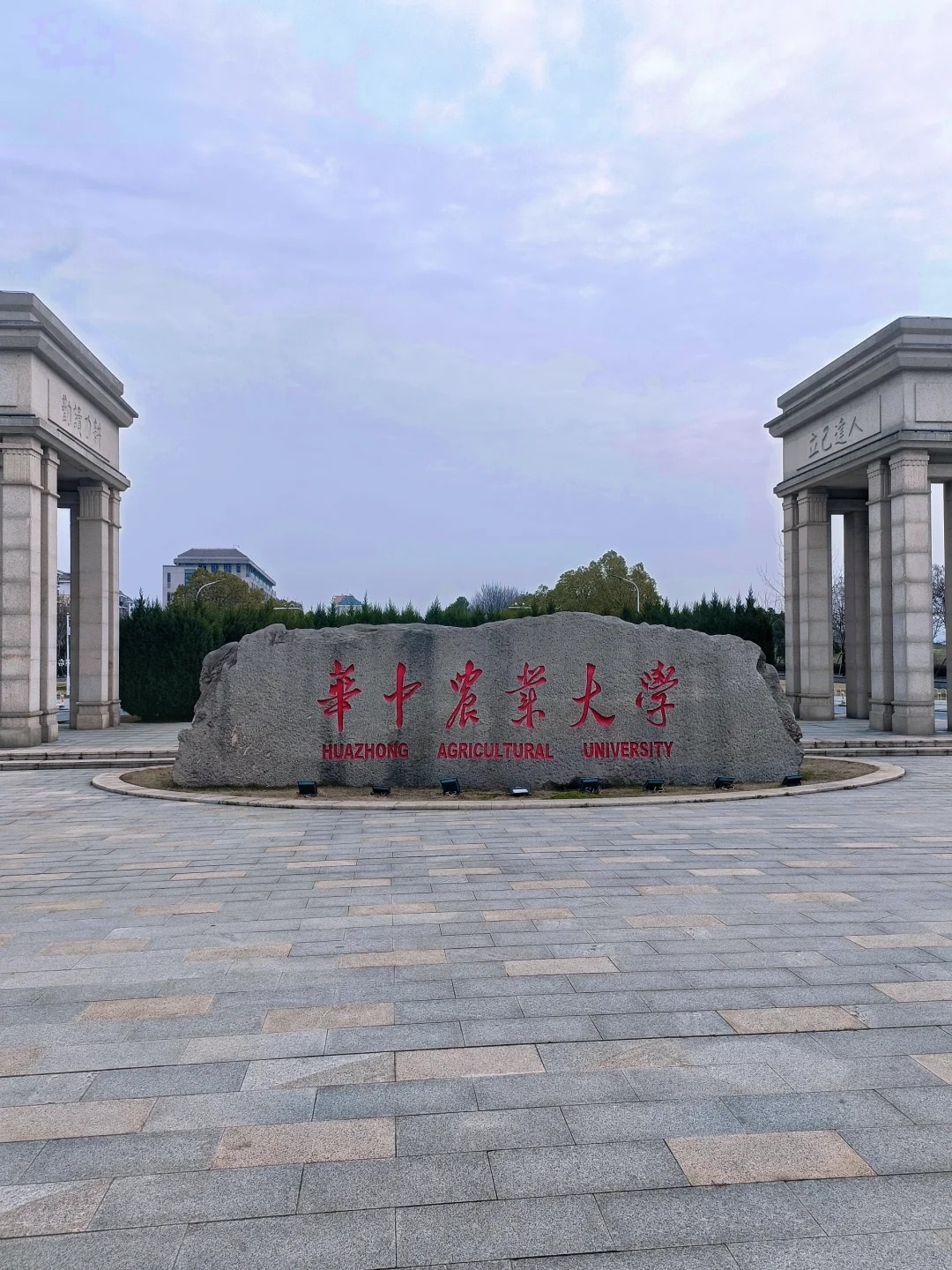 华中农业大学全国排名