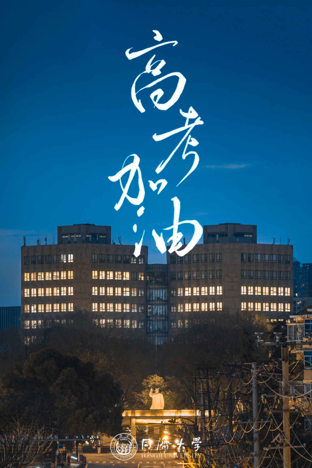 同济大学在哪里